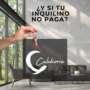 ¿Y si tu inquilino no paga? Protege tu alquiler con un buen seguro  ¿Y si tu inquilino no paga? Protege tu alquiler con un buen seguro Historia de Instagram Departamento en Alquiler Moderno Gris Video para Facebook 90x90