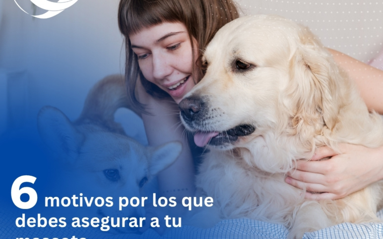 Post-de-Instagram-Seguros-Aseguradora-Moderno-Azul-Blanco-1-760x476 Post-de-Instagram-Seguros-Aseguradora-Moderno-Azul-Blanco-1-760x476 6 motivos por los que debes asegurar a tu mascota 6 motivos por los que debes asegurar a tu mascota Post de Instagram Seguros Aseguradora Moderno Azul Blanco 1 760x476